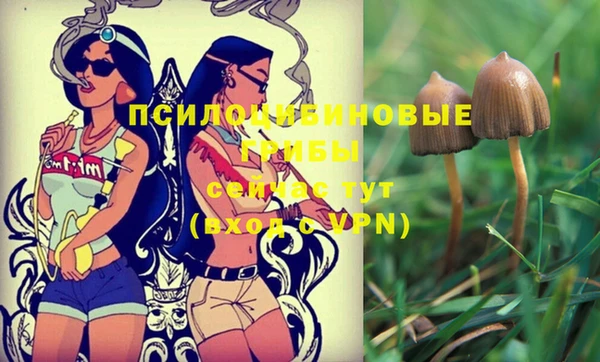 амфетамин Саяногорск
