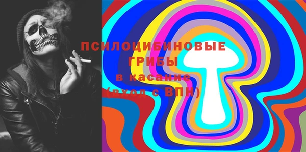 ALPHA PVP Белокуриха