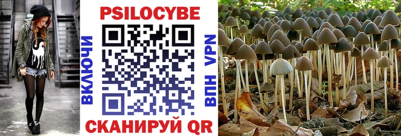 Псилоцибиновые грибы Cubensis  Высоковск 