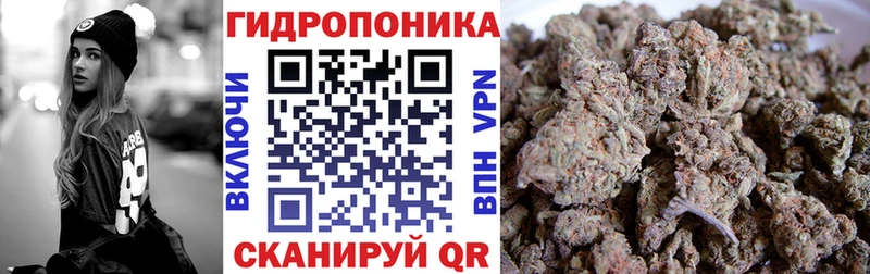 Бошки марихуана White Widow  где можно купить   Высоковск 
